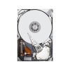 Kotlina | Dysk twardy 3.5" / 8TB / 7.2k / SATA / 6Gb / 512e / Hot-plug / 14G Rx40 | 7200 obr./min | 8000 GB | Dysk twardy serwera | Wymiana podczas pr
