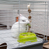 FERPLAST RABBIT 100 + kolba Vitapol - dla królików