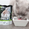 VetExpert Raw Paleo adult cat - Dzik saszetka 100g
