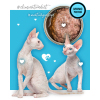 3Coty DUCK for Adult cats 80g