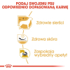 ROYAL CANIN BHN West Highland White Terrier Adult - sucha karma dla psa dorosłego - 3kg