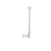 Uchwyt sufitowy NEWSTAR FPMA-C100WHITE (10