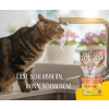 JOSERA Zupa kurczak z marchwią i szpinakiem - mokra karma dla kota - 70 g