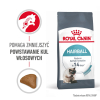 ROYAL CANIN FCN Hairball Care - sucha karma dla kota dorosłego - 10 kg