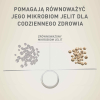 PURINA One Mini/Small Sensitive Łosoś, ryż - sucha karma dla psa - 800 g