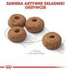 ROYAL CANIN CCN Medium Sterilised  Adult - sucha karma dla psa - 12 kg