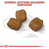 ROYAL CANIN CCN Mini Dental Care - sucha karma dla dorosłych psów - 3 kg
