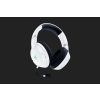 Razer Kaira Pro Headset