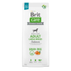 BRIT Care Grain-Free Adult Salmon Large Breed - sucha karma dla psa - 12 kg