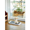 ZOLUX Puppy trainer - kuweta dla psa - 40x60x4cm