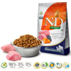 FARMINA N&D Pumpkin Lamb & Blueberry Adult Medium & Maxi - sucha karma dla psa - 12kg