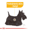 ROYAL CANIN CCN DERMACOMFORT LOAF  mokra karma dla psa dorosłego - 12x85g