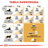 Royal Canin FBN Persian Adult - sucha karma dla kota dorosłego - 4kg