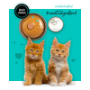 3Coty CHICKEN + DUCK for Kittens 80g