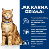 Hill's PD c/d urinary care, chicken, dla kota 3 kg