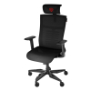 Fotel ergonomiczny Genesis Astat 700 G2 Czarny