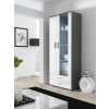 Witryna SOHO S6 2D2S szary/ biały połysk
