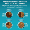 PURINA One Bifensis Sterilcat Wołowina - sucha karma dla kota - 800 g