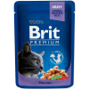 BRIT Cat Pouches Family Plate - mokra karma dla kota - 12 x 100g