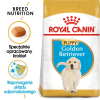 ROYAL CANIN BHN Golden Retriever Puppy - sucha karma dla szczeniąt - 12 kg
