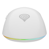GENESIS Zircon XIII myszka Gaming Oburęczny RF Wireless + USB Type-C Optyczny 26000 DPI