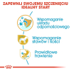 ROYAL CANIN BHN Dachshund Puppy - sucha karma dla szczeniąt - 1,5kg