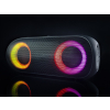 Audictus Aurora Pro Przenośny głośnik stereo Czarny 20 W