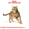 ROYAL CANIN Bengal Adult - sucha karma dla dorosłego kota - 10 kg