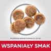 Hill's SP small & mini adult, chicken, dla psa 1.5 kg