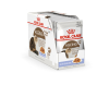 ROYAL CANIN FHN Ageing 12+ w galaretce - mokra karma dla kota starszego - 12x85g