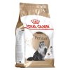 Royal Canin FBN Persian Adult - sucha karma dla kota dorosłego - 4kg