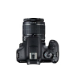 Canon EOS 2000D BK 18-55 IS II EU26 Zestaw do lustrzanki 24,1 MP CMOS 6000 x 4000 px Czarny