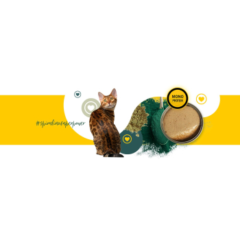 3Coty CHICKEN with Spirulina for Senior Cats 80g