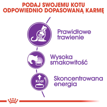 Royal Canin FHN Sensible - sucha karma dla kota dorosłego - 4kg