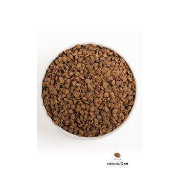 ORIJEN Original Cat - sucha karma dla kota - 340g