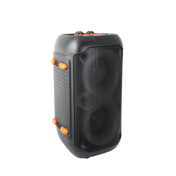 ESPERANZA GŁOŚNIK BT FM LED RGB KARAOKE SINGER EP156