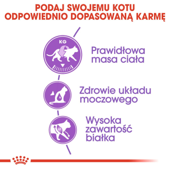 ROYAL CANIN FHN Regular Sterilised 37 - sucha karma dla kota dorosłego  - 10 kg