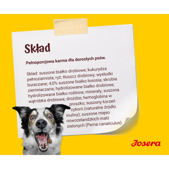 JOSERA Adult Festival - sucha karma dla psa - 12,5 kg