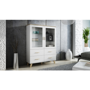 Witryna LOTTA 120 2D4S biały+ dąb sonoma