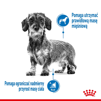 Royal Canin CCN MINI LIGHT WEIGHT CARE - sucha karma dla psa dorosłego - 3kg