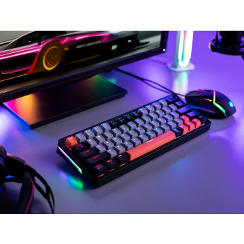 TRACER KLAWIATURA GAMEZONE EVO1 HOT SWAP 63 SZARA
