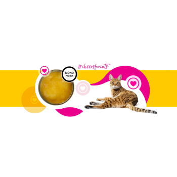 3Coty CHICKEN Cheers! Complementary feed for cats 75g