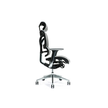 Ergonomiczny fotel biurowy ERGO 700 szary