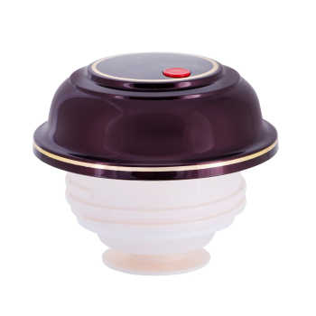 ROTPUNKT DZBANEK TERMOS, 1,0 L, BLACK CHERRY (CZAR