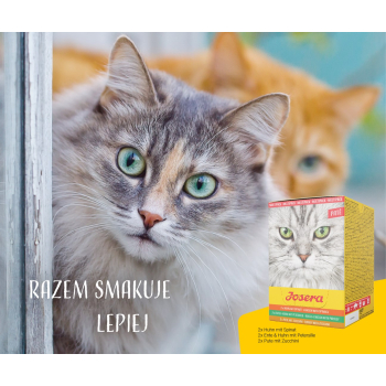 JOSERA Multipack Pate Kurczak kaczka indyk - mokra karma dla kota - 6x85 g