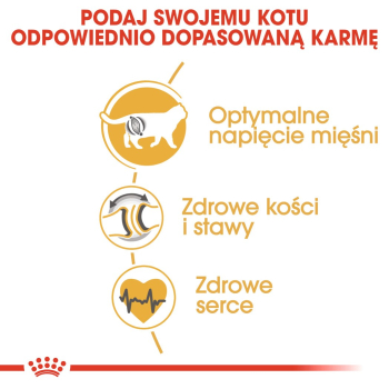 ROYAL CANIN FBN British Shorthair Adult - sucha karma dla dorosłego kota - 4kg
