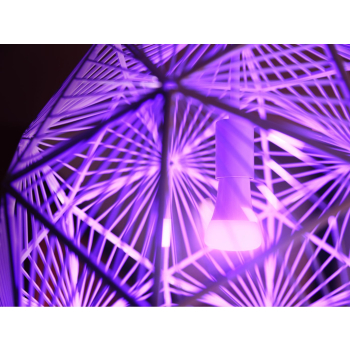 Philips Hue White and color ambiance Zestaw startowy: 3 inteligentne żarówki E27 (1100) + regulator przyciemniania Hue Dimmer switch