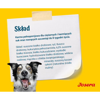 JOSERA Family Plus ciąża,laktacja,szczeniaki 12,5kg