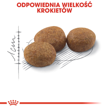 ROYAL CANIN FHN Regular Sterilised 37 - sucha karma dla kota dorosłego  - 400 g