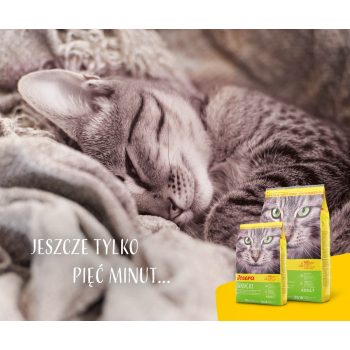 JOSERA SensiCat -  sucha karma dla kota 10 kg